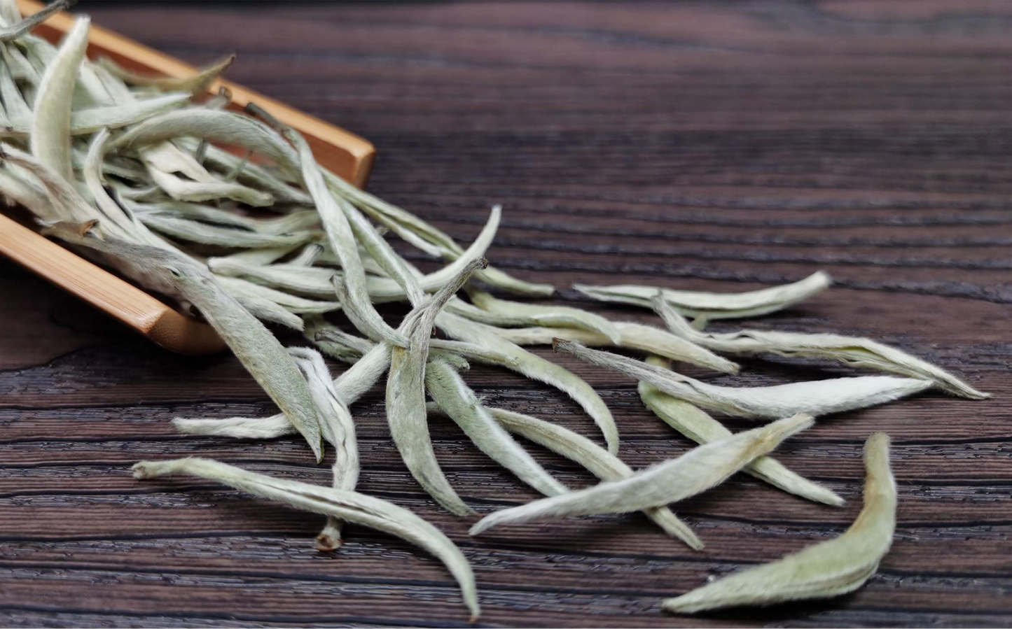 Silver Needle Tea