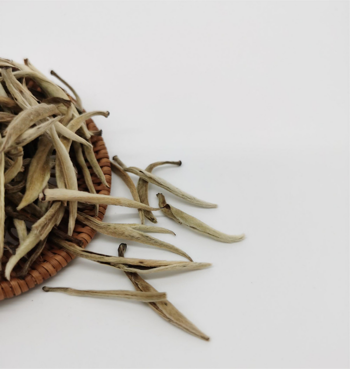 Silver Needle Tea